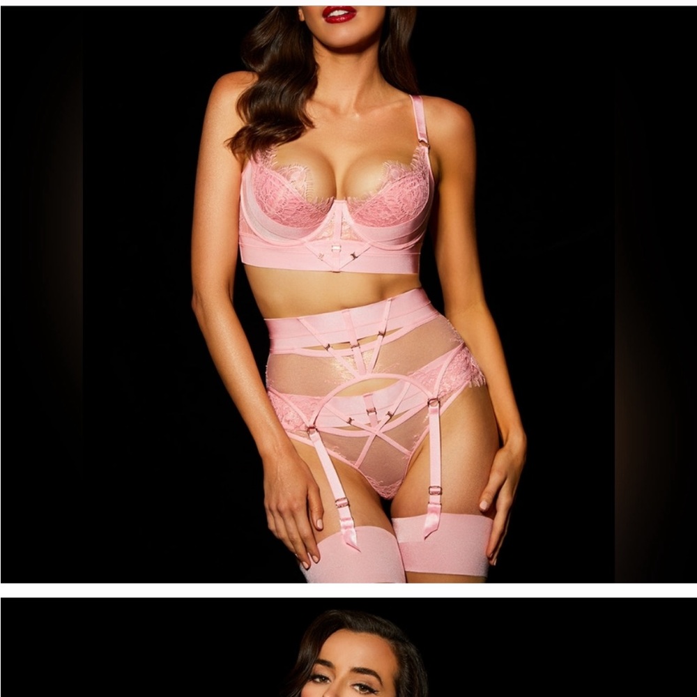 Honey Birdette Belinda Pink Candy Suspenders / Garter